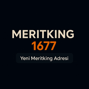 meritking1677