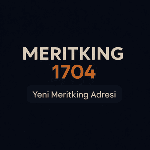 meritking1704