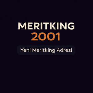 meritking2001