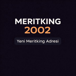 meritking2002