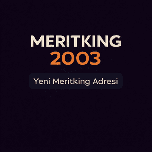 meritking2003