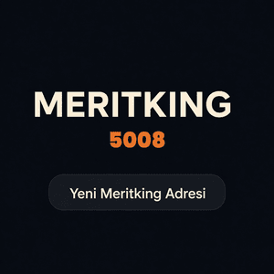 meritking5008