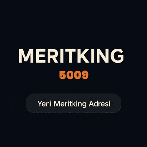 meritking5009