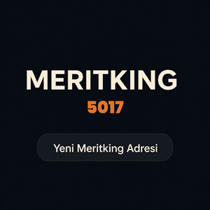 meritking5017