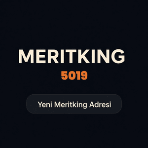 meritking5019