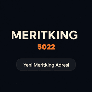 meritking5022